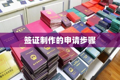 尖草坪签证制作的申请步骤