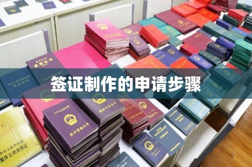 尖草坪签证制作的申请步骤